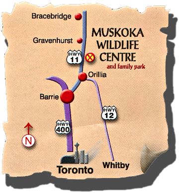 Map to Muskoka Wildlife Centre